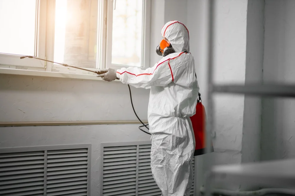 Professional mold remediation services in Cookeville, TN